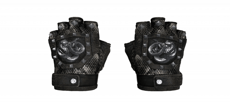 ★ Broken Fang Gloves | Unhinged (Well-Worn)