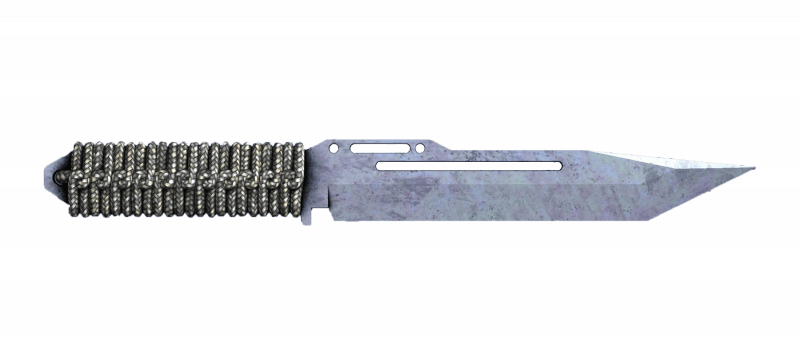 ★ Paracord Knife | Blue Steel (Minimal Wear)