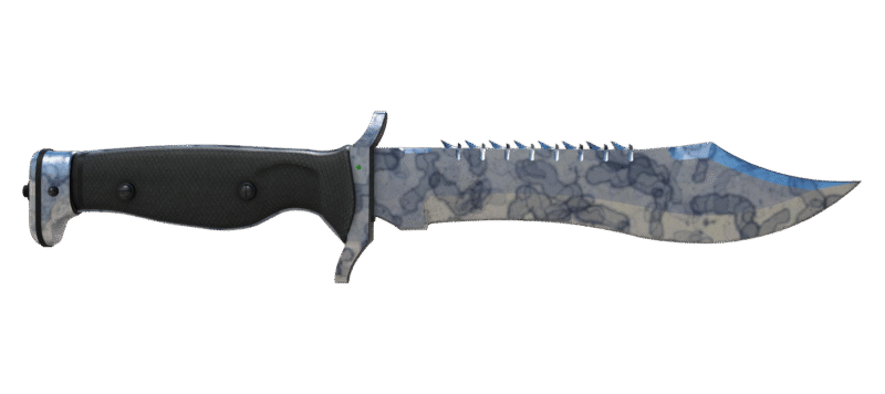 ★ Bowie Knife | Stained (Field-Tested)