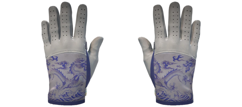★ Driver Gloves | Wave Chaser (Field-Tested)