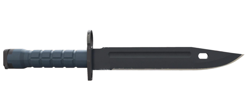 ★ Bayonet | Night (Field-Tested)