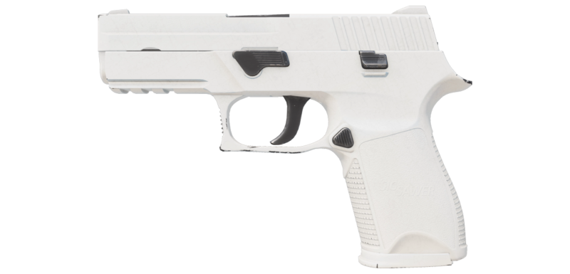 P250 | Whiteout (Field-Tested)