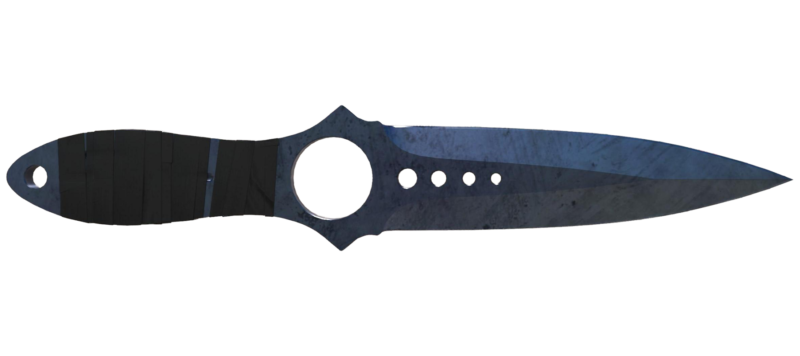 ★ Skeleton Knife | Blue Steel (Well-Worn)